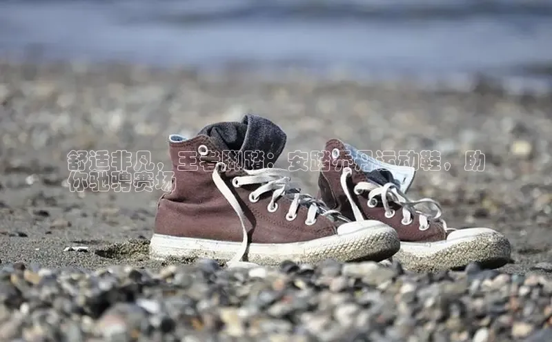 bsports登录入口文心一言舒适非凡，王者脚踏：安踏乔丹运动鞋，助
你驰骋赛场