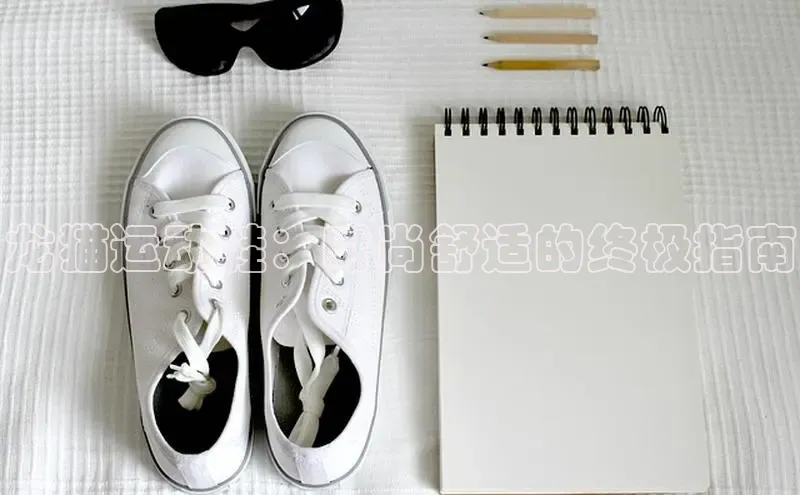 必一体育运动哇咔哇咔文化龙猫运动鞋：时尚舒适的终极指南