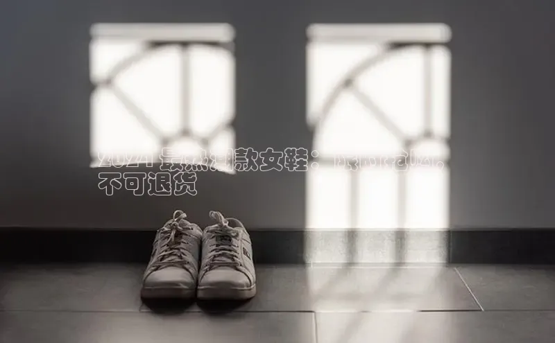 必一体育网页入口梯哥哥科技2024 最热潮款女鞋：限时抢购，
不可退货