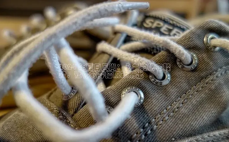 Bsport体育APP下载全站百度百聘2024 年夏日风尚：必备的帆布鞋
款，让你的穿搭脱颖而出