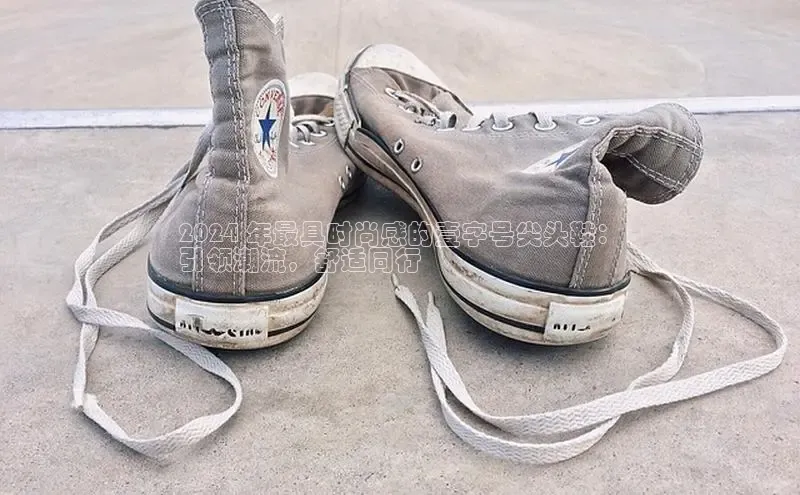 B体育手机版下载app百度Apollo2024 年最具时尚感的壹字号尖头鞋：
引领潮流，舒适同行