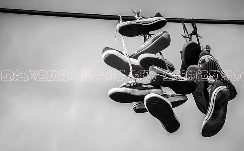 bsports网页版登录官方入口雷柏科技匹克龙运动鞋：提高你的表现，全新的运动潜力