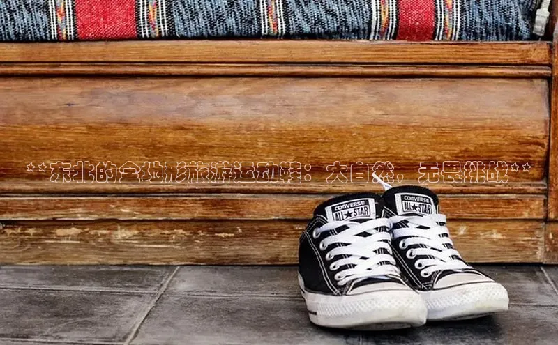 bsports必一体育网页版登录中文在线**东北的全地形旅游运动鞋：大自然，无畏挑战**