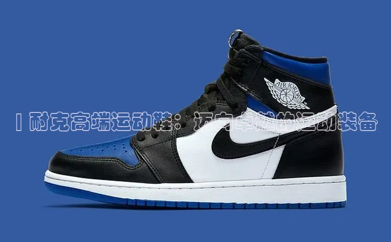 bsports必一体育网页版登录ARGA公司| 耐克高端运动鞋：迈向卓越的运动装备