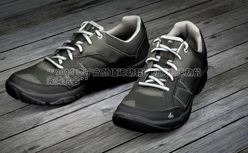 b体育下载入口app百度学术**2024 李宁高颜值运动鞋：时尚与运动的
完美结合**