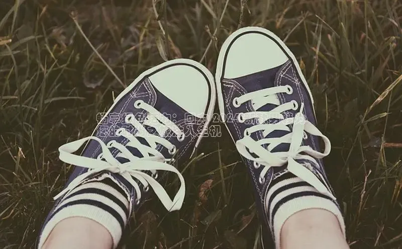 必一体育网页入口度小满理财畅享绿色活力：回力 2024 新款男鞋为
您的时尚之旅注入生机