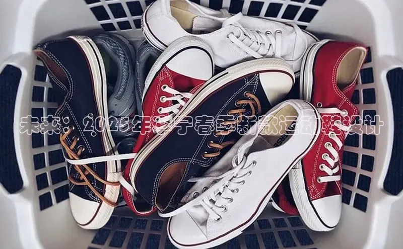 bsport体育最新官网入口百度网盘企业版未来：2025年李宁春季新款运动鞋设计