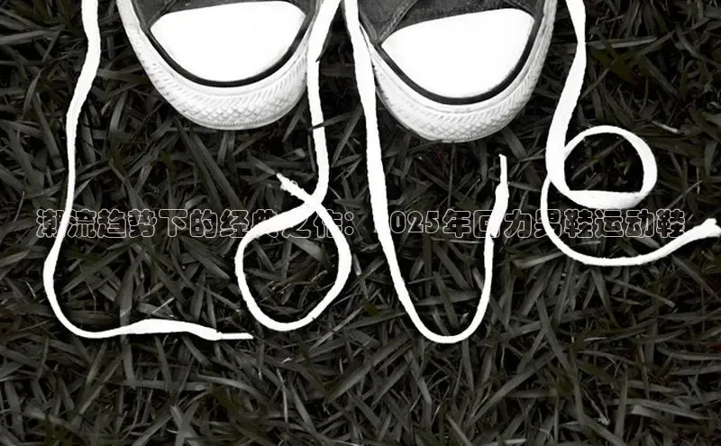 潮流趋势下的经典之作：2025年回力男鞋运动鞋