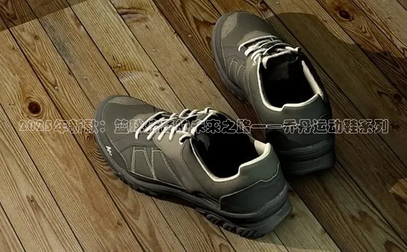 2025年新款：篮球传奇的未来之路——乔丹运动鞋系列