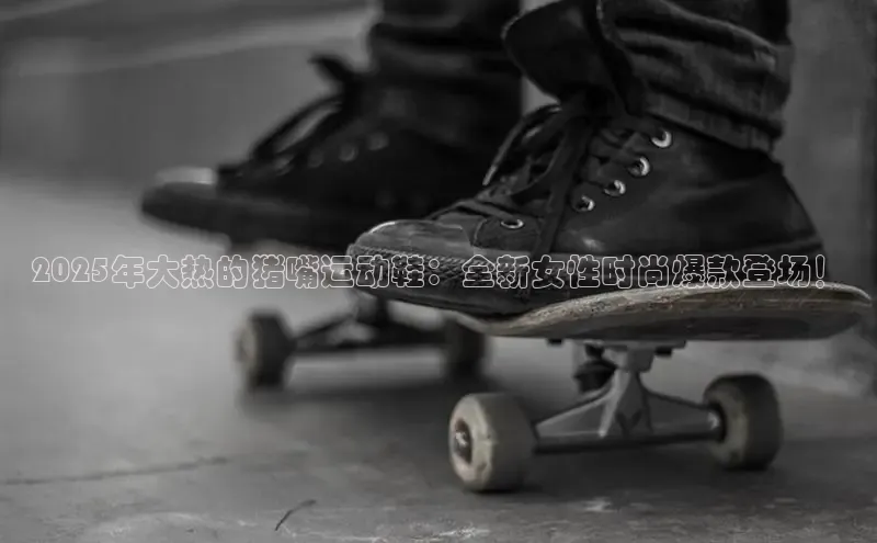 B体育手机网页版登录