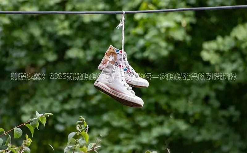 B·体育APP登录入口