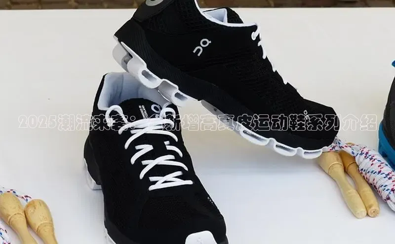 Bsport体育网登录入口