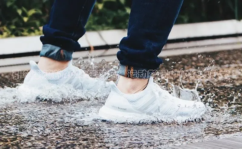 B·体育APP登录入口